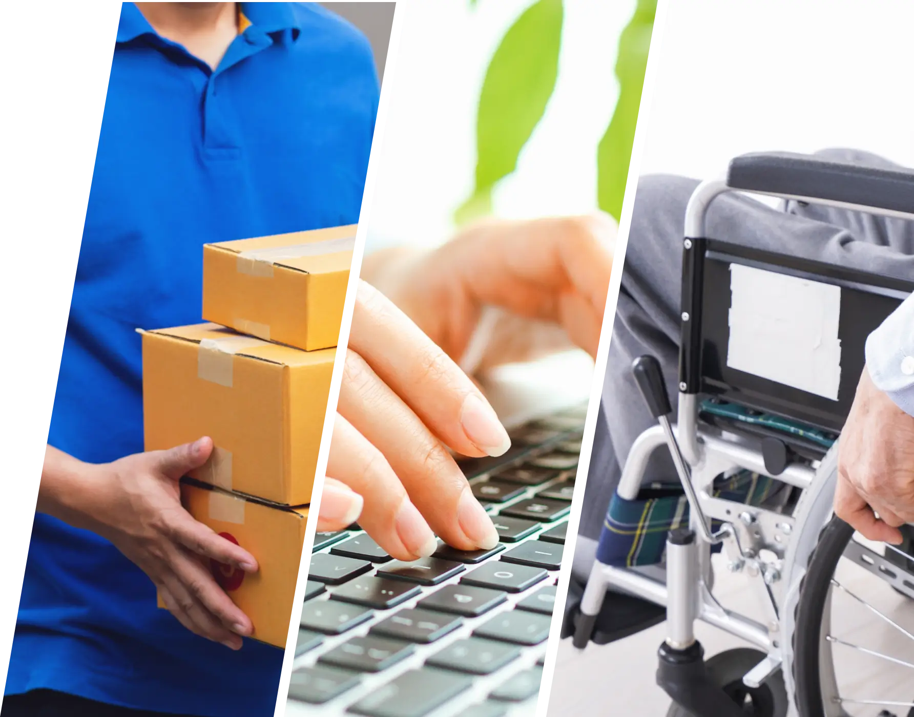 リガレックス事業イメージ